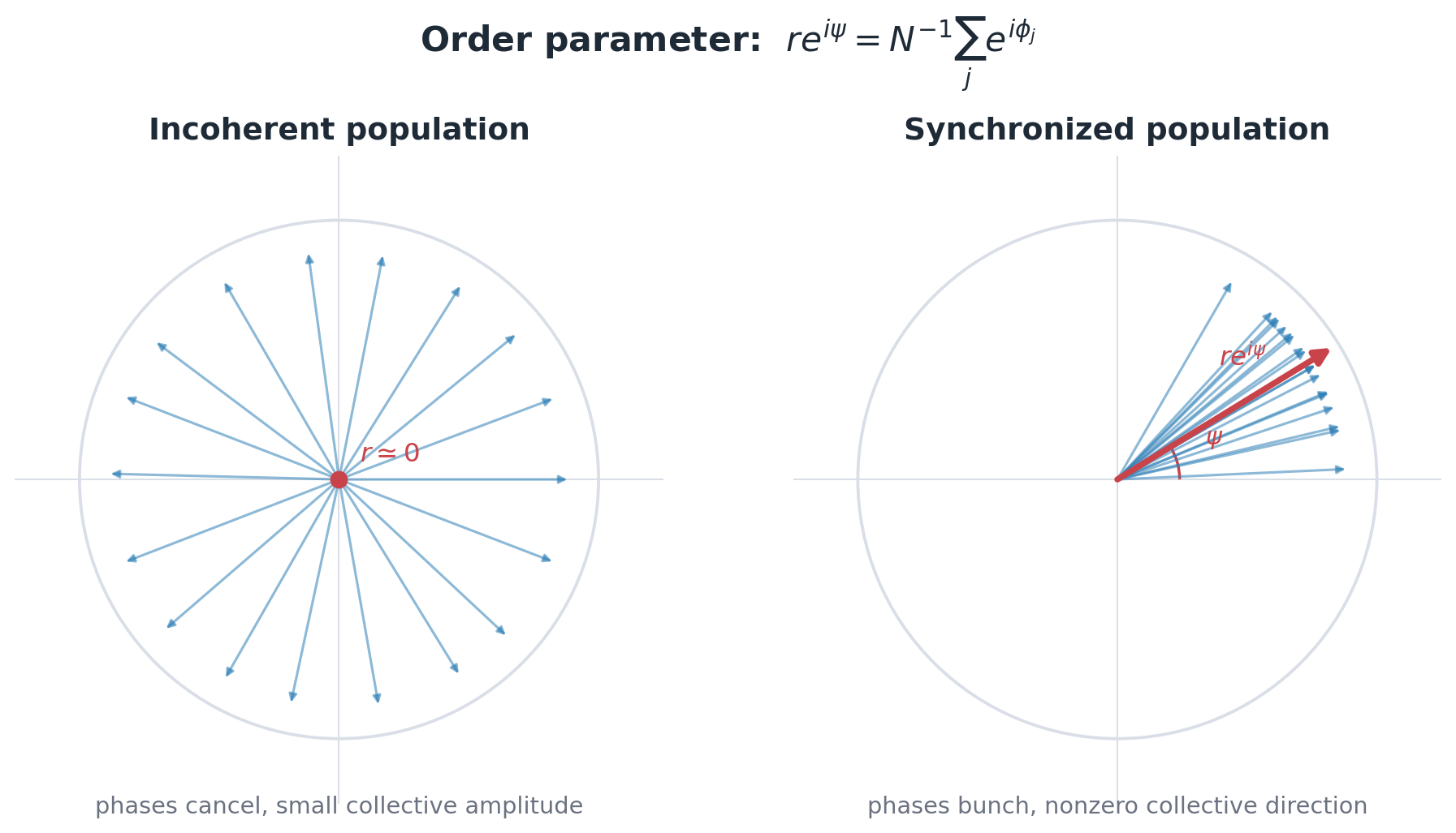Two-panel illustration of the Kuramoto order parameter for incoherent and synchronized phase populations.